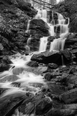 Karpat Dağları 'ndaki Sonbahar Ormanı' ndaki nehir. 