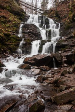 Karpat Dağları 'ndaki Sonbahar Ormanı' ndaki nehir. 