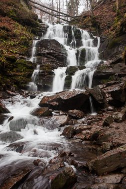 Karpat Dağları 'ndaki Sonbahar Ormanı' ndaki nehir. 