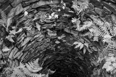 Karpat dağlarında eski bir taş kuyusu