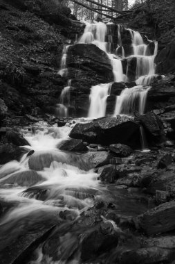 Karpat Dağları 'ndaki Sonbahar Ormanı' ndaki nehir. 