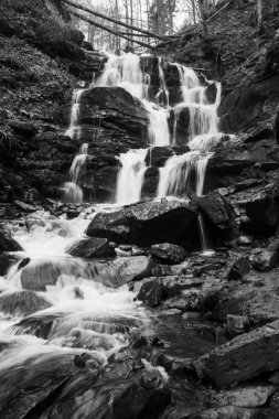 Karpat Dağları 'ndaki Sonbahar Ormanı' ndaki nehir. 