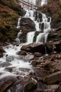 Karpat Dağları 'ndaki Sonbahar Ormanı' ndaki nehir. 