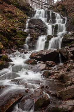 Karpat Dağları 'ndaki Sonbahar Ormanı' ndaki nehir. 