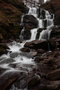Karpat Dağları 'ndaki Sonbahar Ormanı' ndaki nehir. 