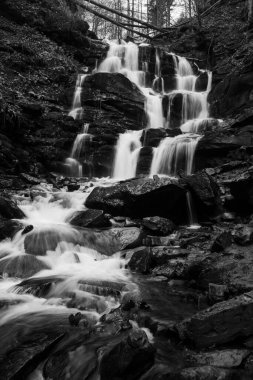 Karpat Dağları 'ndaki Sonbahar Ormanı' ndaki nehir. 