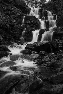 Karpat Dağları 'ndaki Sonbahar Ormanı' ndaki nehir. 