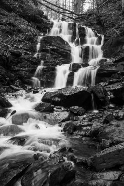 Karpat Dağları 'ndaki Sonbahar Ormanı' ndaki nehir. 