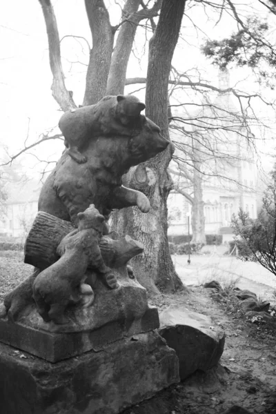 Statue Ours Bois Dans Parc — Photo