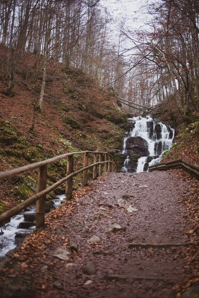 Älven Höstskogen Karpaterna — Stockfoto