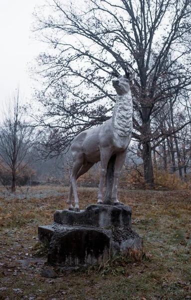 Statue Lion Dans Parc — Photo