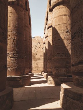Deir el-Bahari ya da Dayr al-Bahri, Mısır 'ın başkenti Luxor' un batı kıyısında yer alan bir morg tapınağı ve mezar kompleksi.