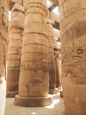 Deir el-Bahari ya da Dayr al-Bahri, Mısır 'ın başkenti Luxor' un batı kıyısında yer alan bir morg tapınağı ve mezar kompleksi.