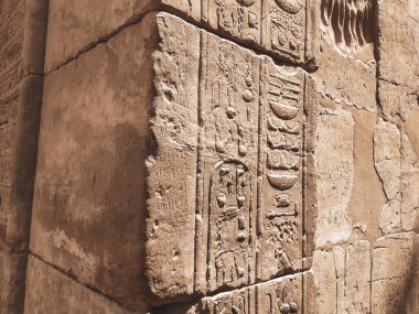 Karnak Tapınağı Kompleksi, genellikle Karnak olarak bilinen, Mısır 'daki çürümüş tapınaklar, şapeller, sütunlar ve diğer yapıların büyük bir karışımından oluşur.