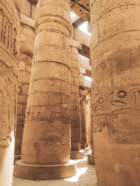 Deir el-Bahari ya da Dayr al-Bahri, Mısır 'ın başkenti Luxor' un batı kıyısında yer alan bir morg tapınağı ve mezar kompleksi.