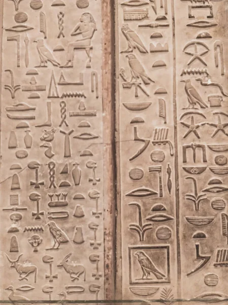 Het Museum Van Egyptische Oudheden Algemeen Bekend Als Het Egyptisch — Stockfoto