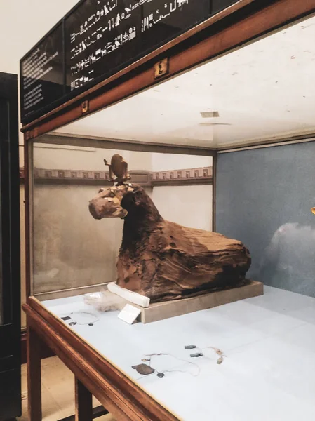 Museu Antiguidades Egípcias Conhecido Comumente Como Museu Egípcio Cairo Egito — Fotografia de Stock
