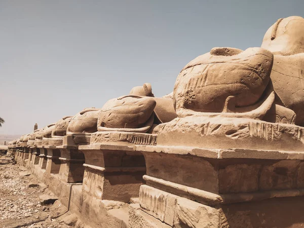 Complejo Templos Karnak Comúnmente Conocido Como Karnak Comprende Una Vasta —  Fotos de Stock