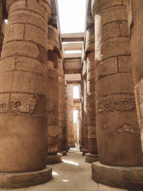 Deir el-Bahari ya da Dayr al-Bahri, Mısır 'ın başkenti Luxor' un batı kıyısında yer alan bir morg tapınağı ve mezar kompleksi.