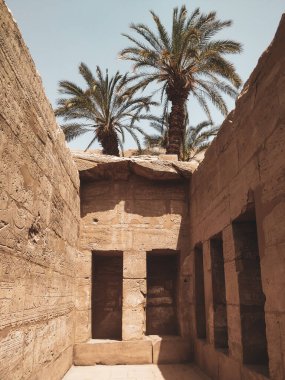 Karnak Tapınağı Kompleksi, genellikle Karnak olarak bilinen, Mısır 'daki çürümüş tapınaklar, şapeller, sütunlar ve diğer yapıların büyük bir karışımından oluşur.
