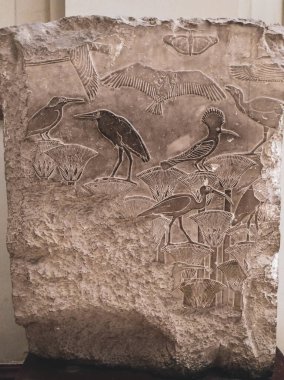 Mısır Tarihi Müzesi, Mısır 'ın Kahire kentindeki Mısır Müzesi olarak bilinir.