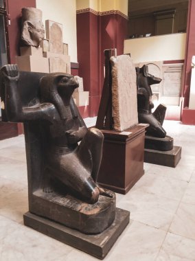 Mısır Tarihi Müzesi, Mısır 'ın Kahire kentindeki Mısır Müzesi olarak bilinir.