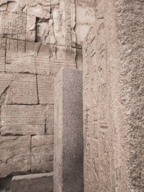 Karnak Tapınağı Kompleksi, genellikle Karnak olarak bilinen, Mısır 'daki çürümüş tapınaklar, şapeller, sütunlar ve diğer yapıların büyük bir karışımından oluşur.