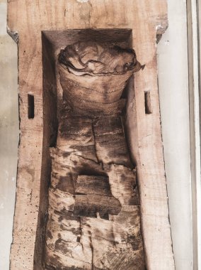 Mısır Tarihi Müzesi, Mısır 'ın Kahire kentindeki Mısır Müzesi olarak bilinir.