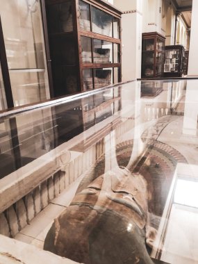 Mısır Tarihi Müzesi, Mısır 'ın Kahire kentindeki Mısır Müzesi olarak bilinir.