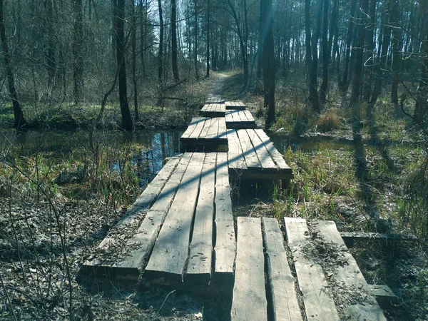 Ponte Sobre Fluxo Primavera Floresta — Fotografia de Stock