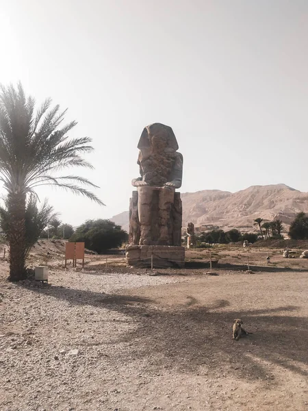 Les Colosses Memnon Représentant Amenhotep Iii 1386 1353 — Photo