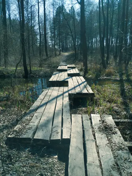 Ponte Sobre Fluxo Primavera Floresta — Fotografia de Stock