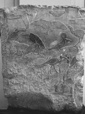 Mısır Tarihi Müzesi, Mısır 'ın Kahire kentindeki Mısır Müzesi olarak bilinir.