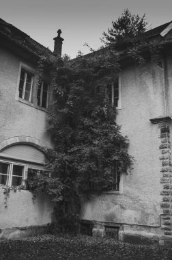 Shenborn Sarayı 'nın duvarına