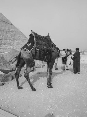 Kahire şehri, Mısır 'ın başkenti, Afrika.