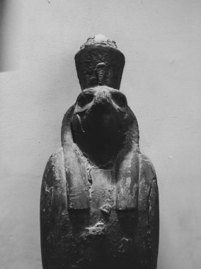 Mısır Tarihi Müzesi, Mısır 'ın Kahire kentindeki Mısır Müzesi olarak bilinir.