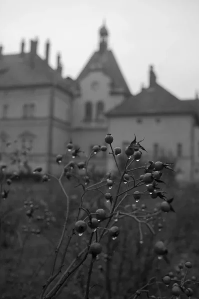 Úžasné Architektonické Památky Západní Ukrajiny Pohádka Shenborn Palace — Stock fotografie