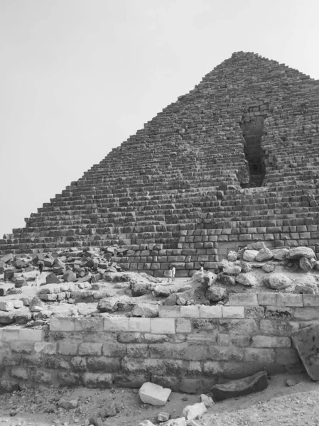 Пірамідний Комплекс Гіза Англ Giza Pyramid Complex Також Відомий Некрополь — стокове фото