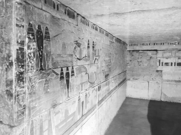 Het Museum Van Egyptische Oudheden Algemeen Bekend Als Het Egyptisch — Stockfoto