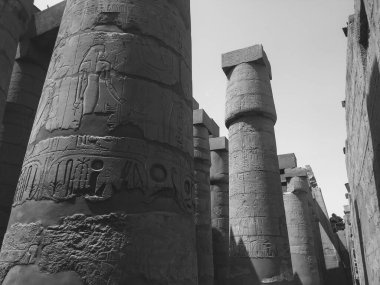Deir el-Bahari ya da Dayr al-Bahri, Mısır 'ın başkenti Luxor' un batı kıyısında yer alan bir morg tapınağı ve mezar kompleksi.