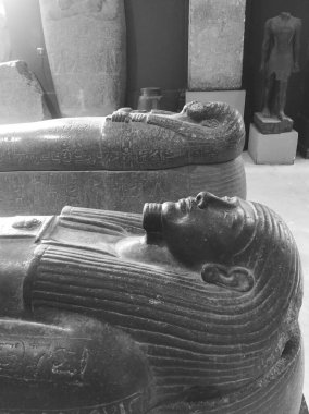 Mısır Tarihi Müzesi, Mısır 'ın Kahire kentindeki Mısır Müzesi olarak bilinir.