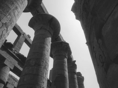 Deir el-Bahari ya da Dayr al-Bahri, Mısır 'ın başkenti Luxor' un batı kıyısında yer alan bir morg tapınağı ve mezar kompleksi.