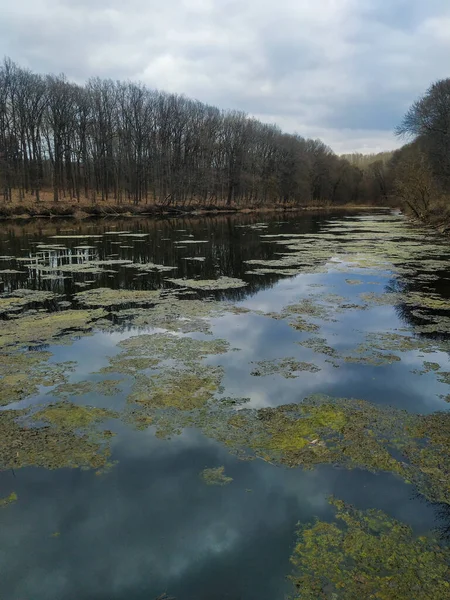 Beau Paysage Rivière Campagne — Photo