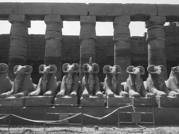 Complexo Templo Karnak Vulgarmente Conhecido Como Karnak Compreende Uma Vasta — Fotografia de Stock