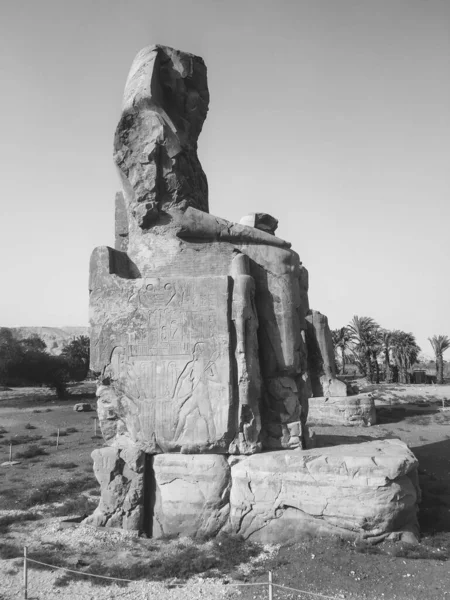 아멘호테프 대표하는 멤논의 기원전 1386 1353 — 스톡 사진