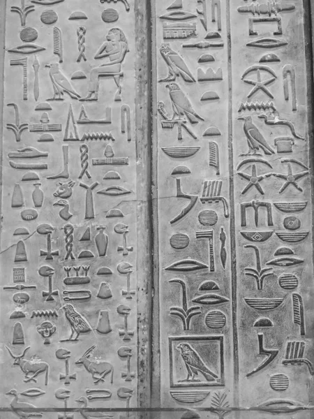 이집트 박물관 이집트 카이로에 이집트 박물관 — 스톡 사진