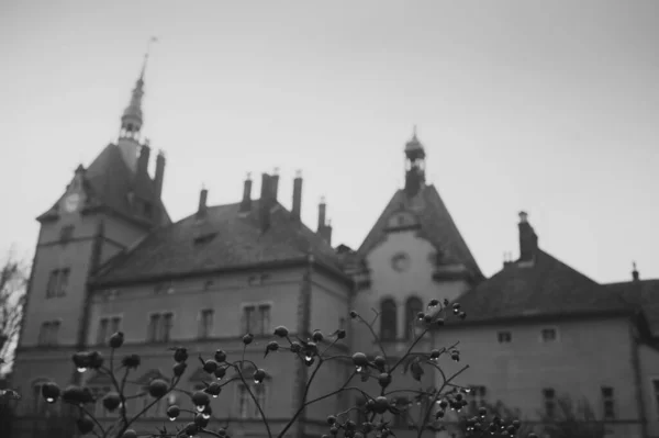 Amazing Architectural Sights Western Ukraine Fairy Tale Shenborn Palace — Stock Photo, Image