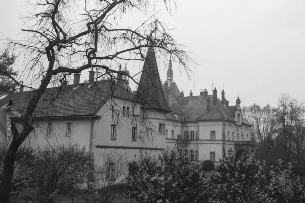 Increíbles Vistas Arquitectónicas Del Oeste Ucrania Cuento Hadas Shenborn Palace — Foto de Stock