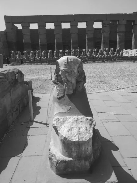 在埃及卢克索附近的卡尔纳克寺庙建筑群 Karnak Temple Complex 通常被称为卡尔纳克寺庙建筑群 Karnak 包括大量腐烂的寺庙 尖塔和其他建筑 — 图库照片