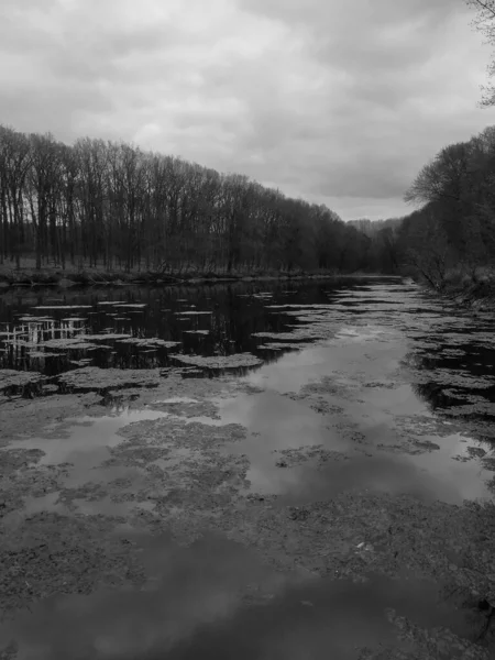 Красивий Краєвид Річкою Сільській Місцевості — стокове фото